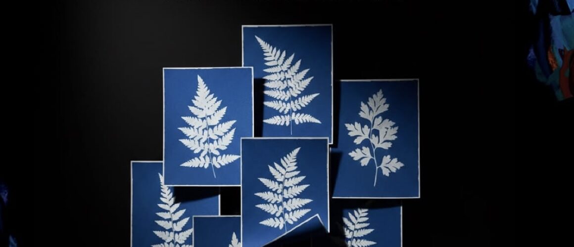 Step into the world of art and nature – Cyanotype workshop
